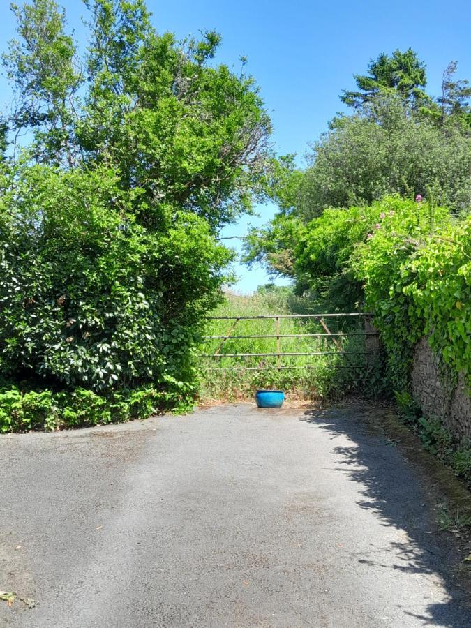 The Artist'S Retreat Apartment Calstock Exterior foto